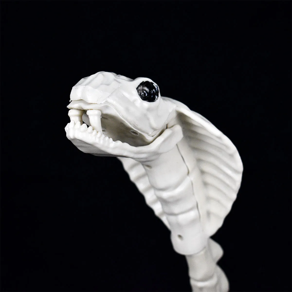 Esqueleto de Cobra para Halloween
