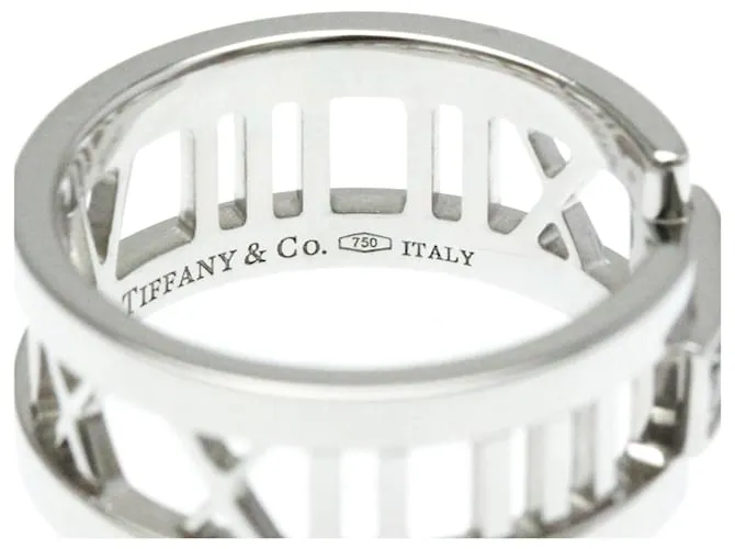 Tiffany & Co Anillo de diamante de moda en oro blanco Tiffany Atlas (18K) Plata 
