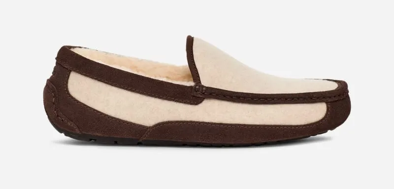 UGG Ascot Wool II Slipper