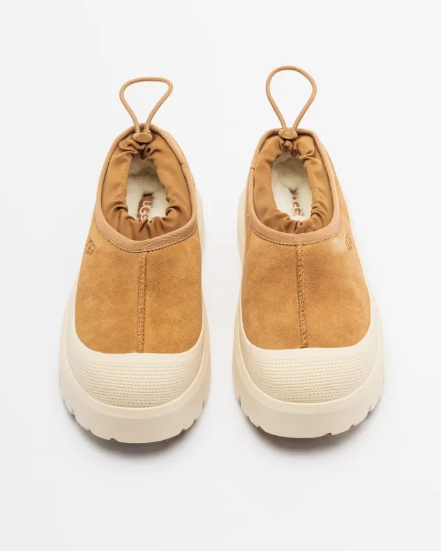 Zapatos Ugg 1144096 Camel