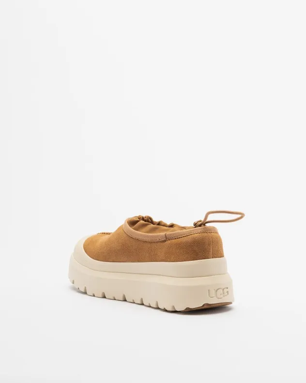 Zapatos Ugg 1144096 Camel